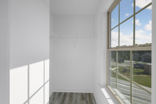 walk in closet featuring dark wood finished floors