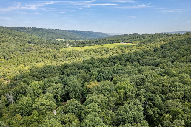 birds eye view of property featuring a mountain view and a wooded view