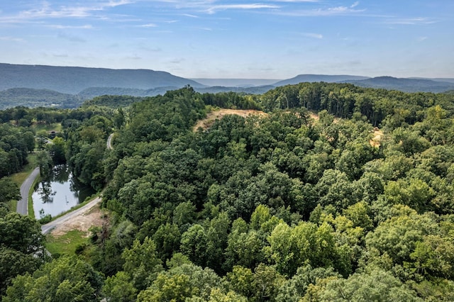 property view of mountains with a water view and a view of trees