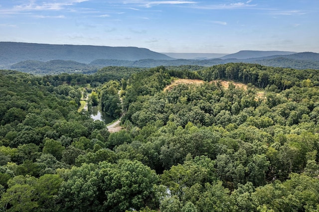 mountain view featuring a wooded view