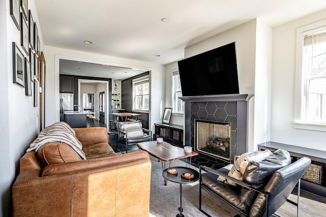 living area with wood finished floors and a premium fireplace