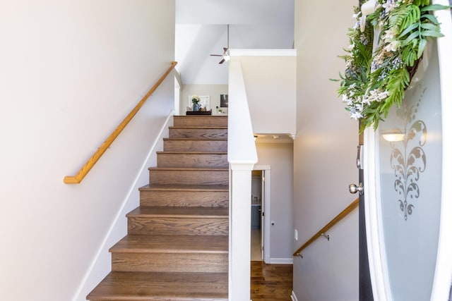 stairs with ceiling fan and wood finished floors