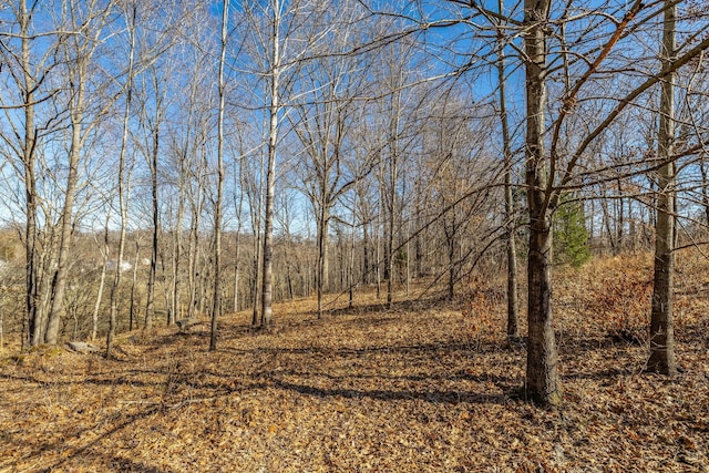 view of landscape