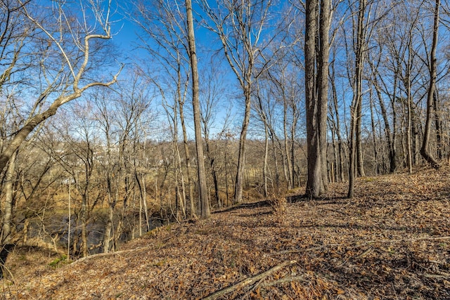 view of local wilderness with a forest view