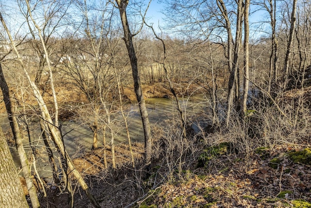 view of local wilderness with a wooded view