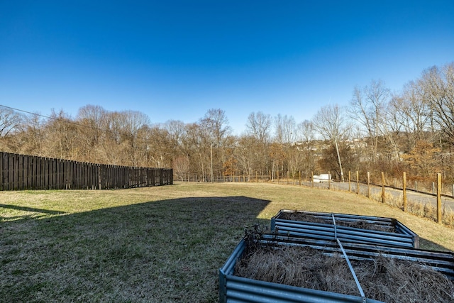 view of yard with a fenced backyard