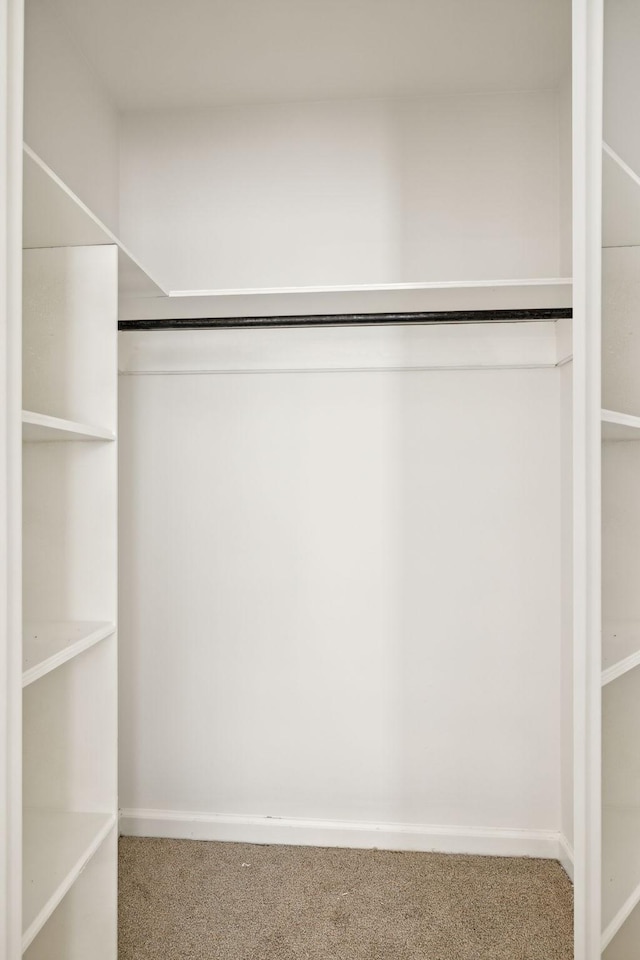107 Sylvan Glen Ct, Nashville, TN 37209 - walk in closet featuring carpet flooring