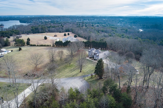 drone / aerial view
