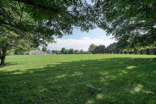 view of yard featuring a rural view
