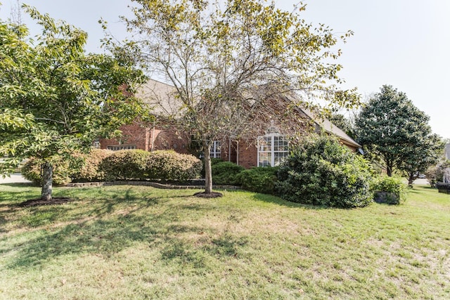 view of front facade with a front lawn and brick siding