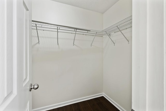 walk in closet featuring dark wood finished floors