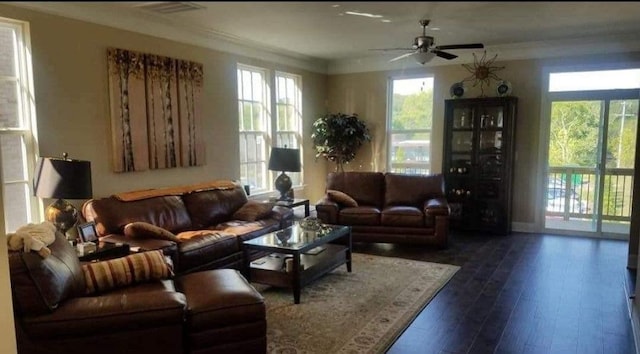 living room featuring dark wood-style floors, ceiling fan, ornamental molding, and plenty of natural light