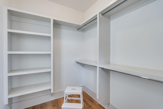 spacious closet with wood finished floors