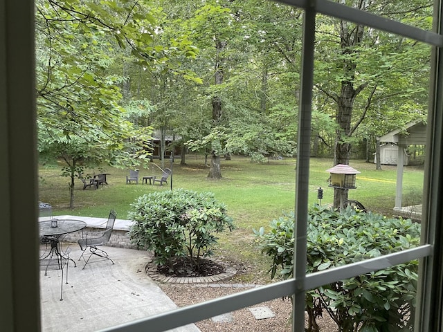 view of yard featuring a patio area