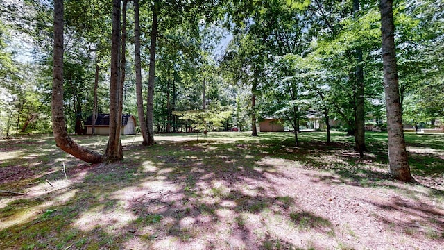 830 Motlow College Rd, Normandy, TN 37360 - view of yard with a storage shed