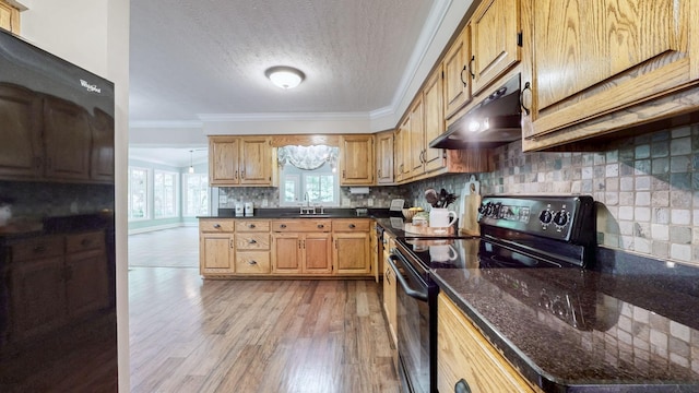830 Motlow College Rd, Normandy, TN 37360 - kitchen featuring black range with electric cooktop, under cabinet range hood, crown molding, light wood-style floors, and a textured ceiling
