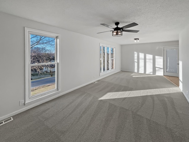 interior space with a textured ceiling, carpet floors, plenty of natural light, and visible vents