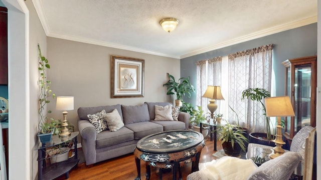 living area featuring a textured ceiling, wood finished floors, and crown molding