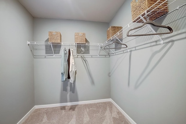 walk in closet with carpet