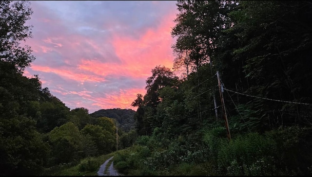 property view of mountains with a wooded view