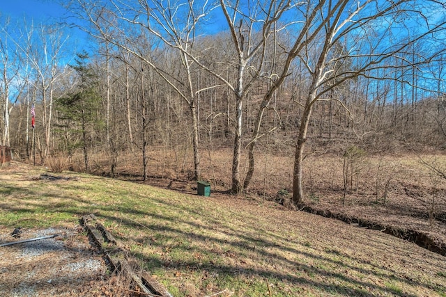 view of yard featuring a forest view