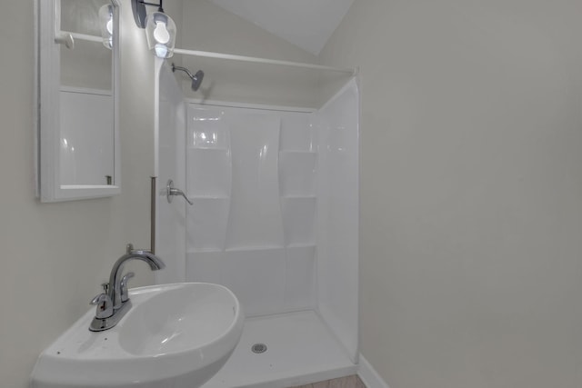 bathroom with walk in shower and a sink