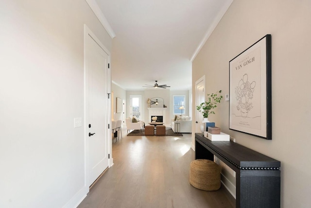 hallway featuring ornamental molding and wood finished floors