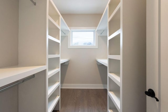 walk in closet featuring dark wood-style floors