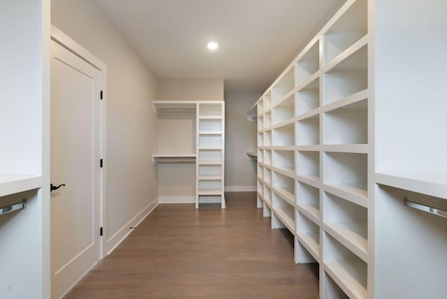 spacious closet featuring dark wood-style flooring