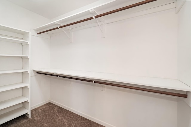 spacious closet with dark carpet