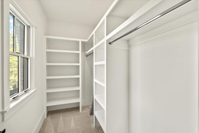 105 Stillwind Ct, Nolensville, TN 37135 - walk in closet with carpet flooring