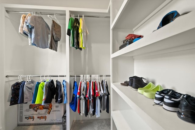105 Stillwind Ct, Nolensville, TN 37135 - spacious closet featuring carpet flooring