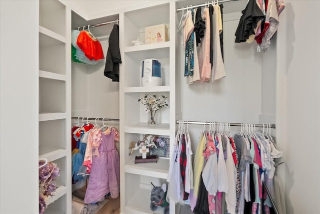 105 Stillwind Ct, Nolensville, TN 37135 - view of spacious closet