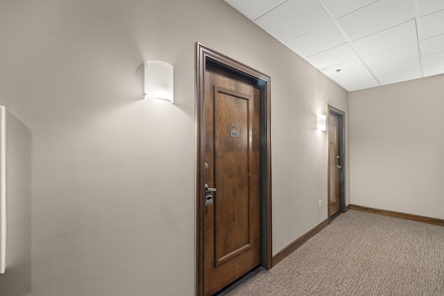 hall with a paneled ceiling, light colored carpet, and baseboards