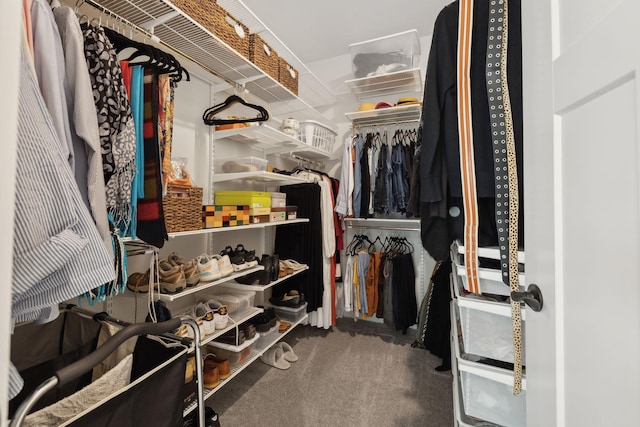 walk in closet featuring carpet flooring