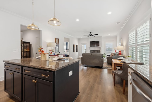 kitchen featuring crown molding, a fireplace, stainless steel dishwasher, and wood finished floors