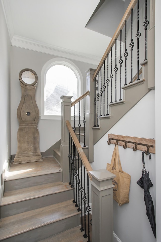 stairs with ornamental molding and wood finished floors