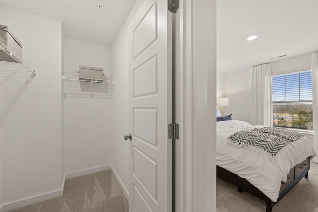 spacious closet with carpet floors