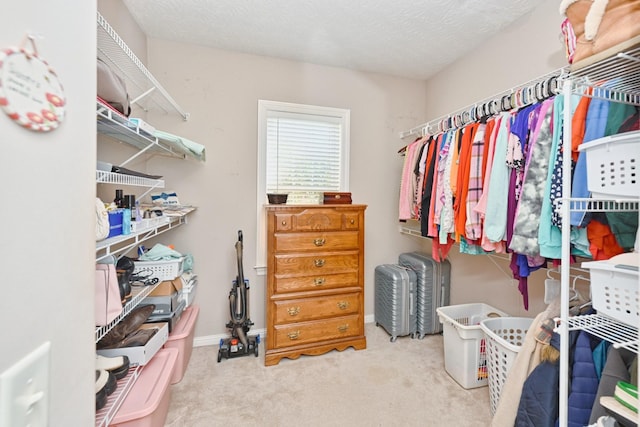 walk in closet featuring carpet floors