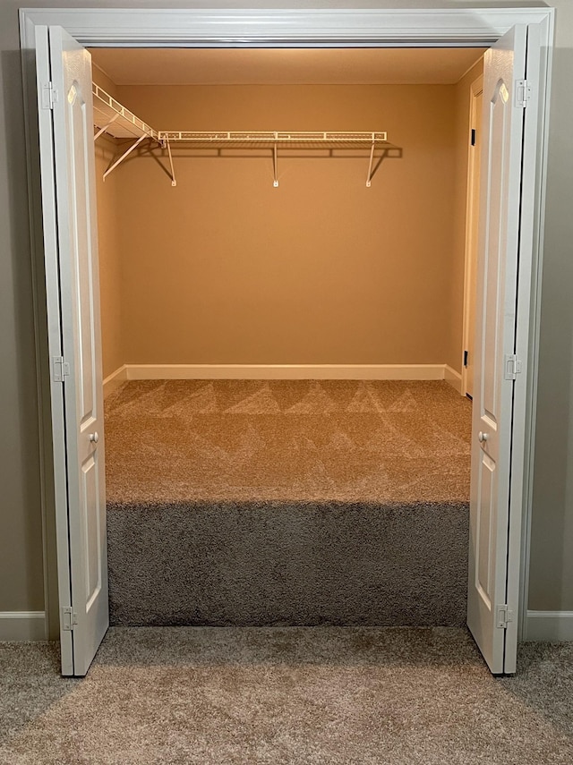 walk in closet featuring carpet flooring