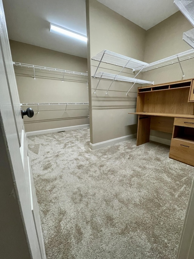 spacious closet featuring carpet floors