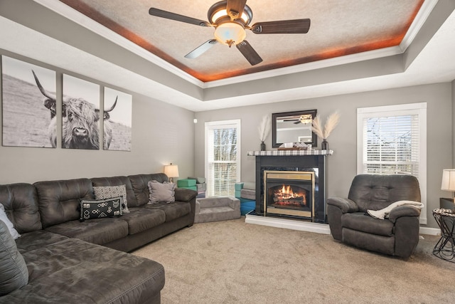 carpeted living area with ceiling fan, a tray ceiling, a glass covered fireplace, and crown molding