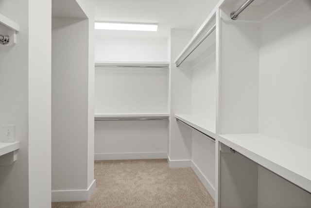 walk in closet with light colored carpet