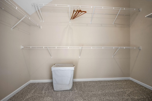 walk in closet featuring carpet floors