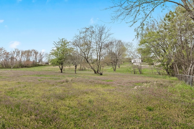 1035 New Deal Potts Rd, Cottontown, TN 37048 - photo 34