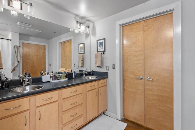 bathroom with double vanity and a sink