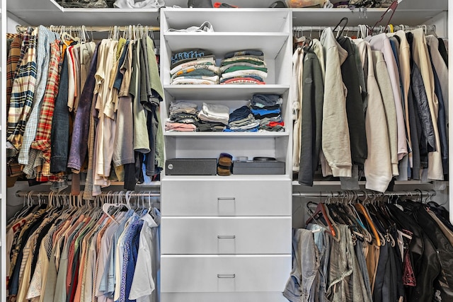 view of spacious closet