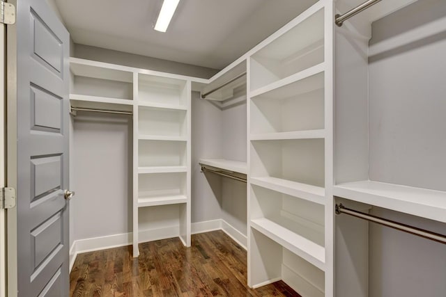 spacious closet featuring dark wood-style flooring