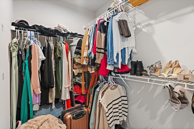 view of spacious closet