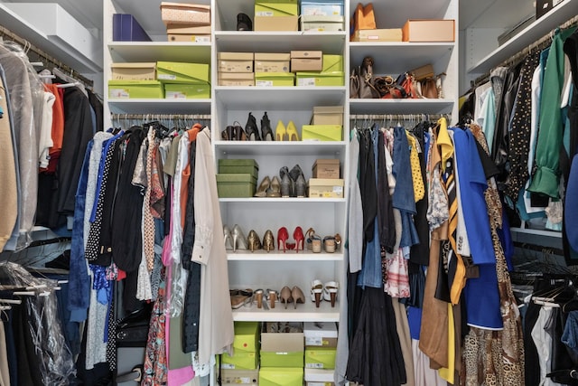 view of spacious closet